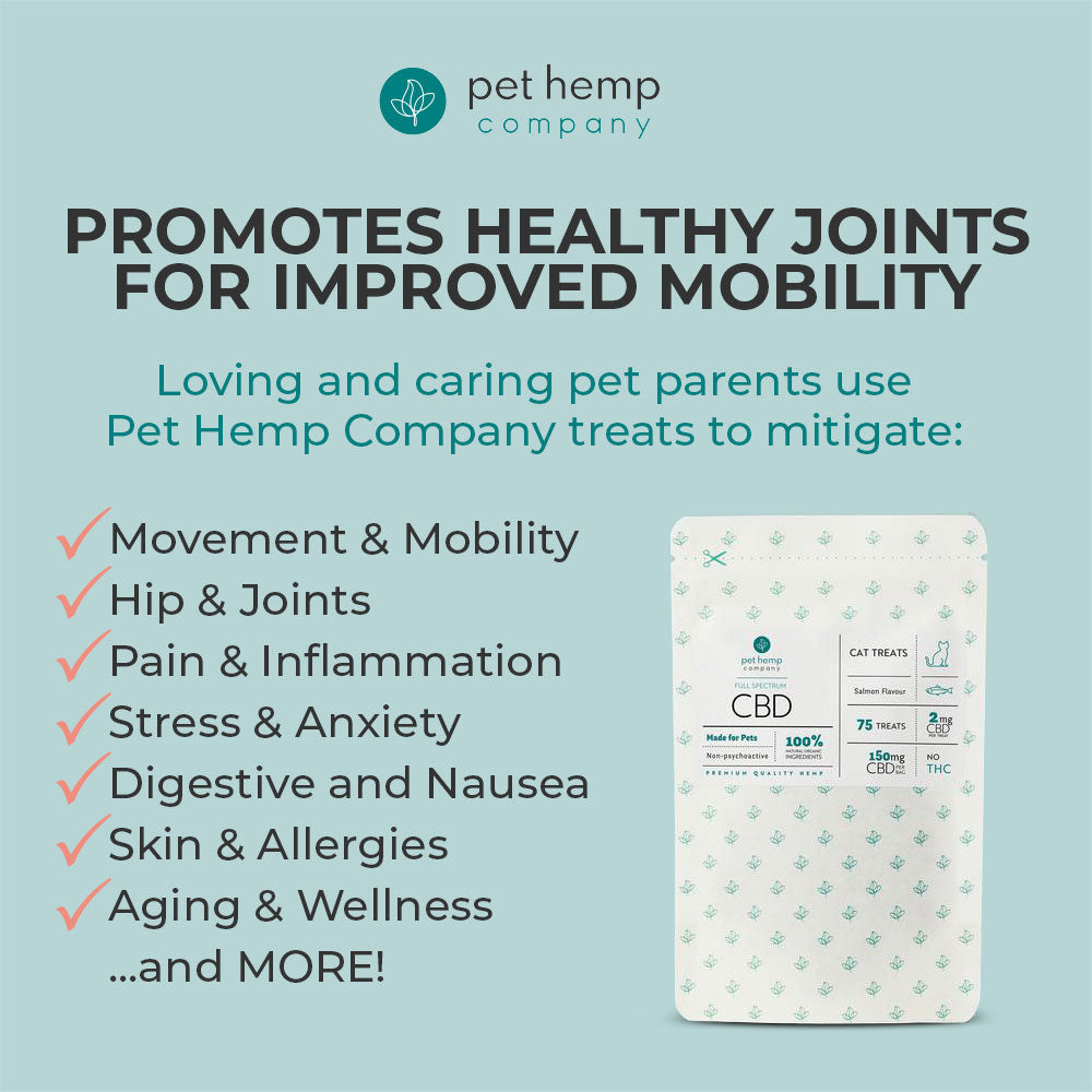 CBD Cat Treats 150mg - Salmon Flavor