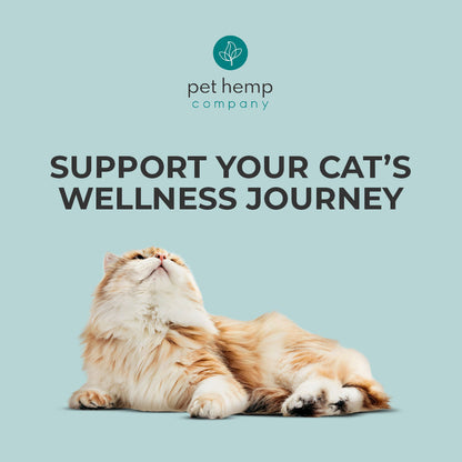 CBD Cat Treats 150mg - Salmon Flavor