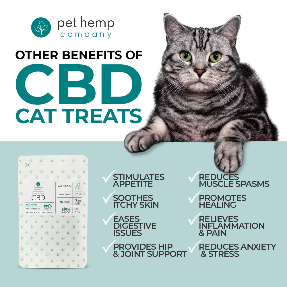 CBD Cat Treats 150mg - Salmon Flavor