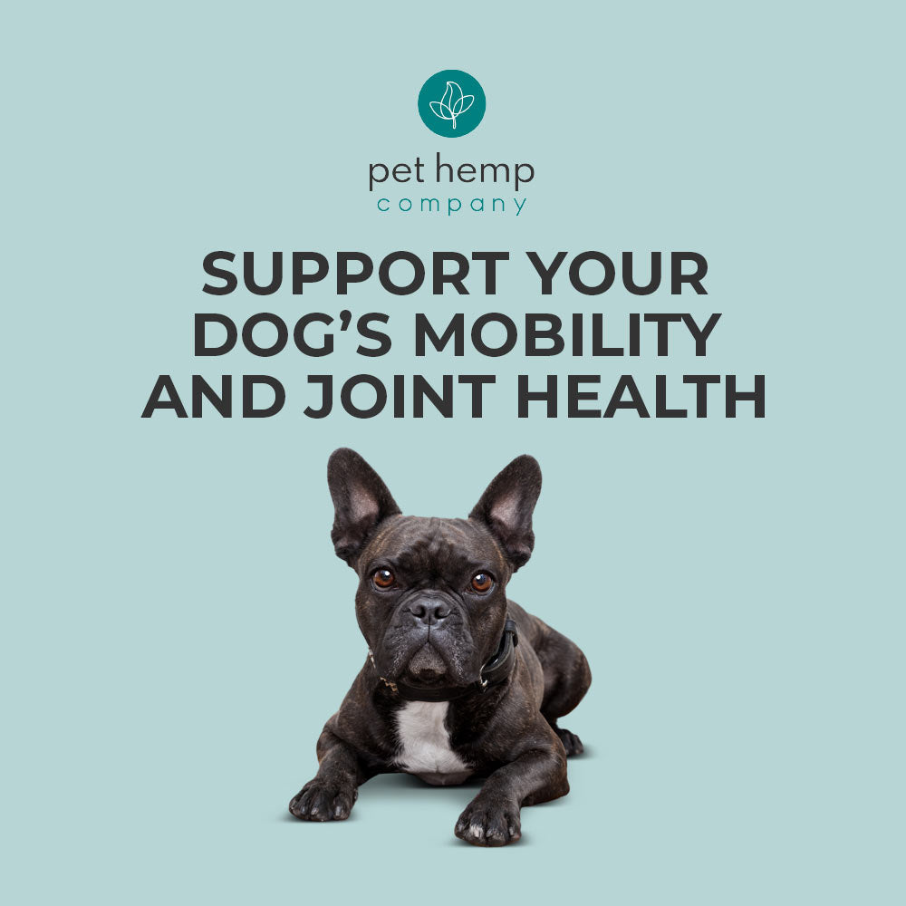 CBD Dog Treats – RELAX: Anxiety & Stress Relief