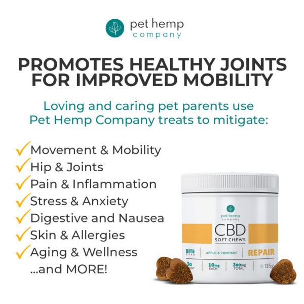 Repair Treats For Dogs: CBD Soft Chews – REPAIR