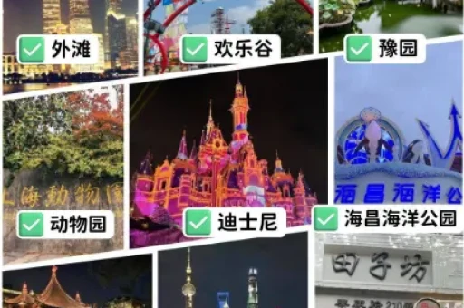 上海同城相亲为何让人又爱又恨？真实交友背后的情感困局